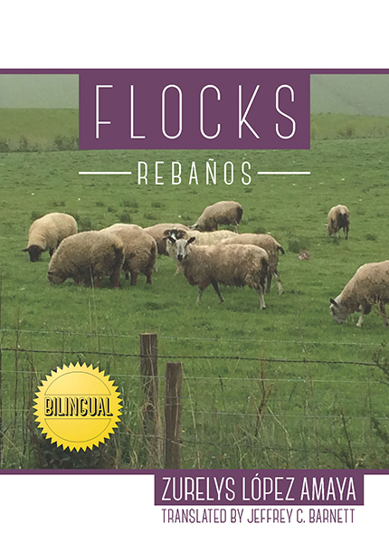 flocks-cover-thumb